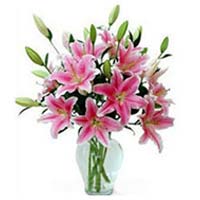 6 beautiful pink multi-bloomed lilies arranged in a clear glass vase. (The pictu...