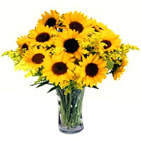 Delicate Arrangement of 10 Sunflowers in a Glass Vase