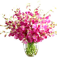 Celebrate in style with this Brilliant Bouquet of 36 Cattleyas in a Glass Vase a...