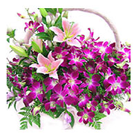 Order online for your loved ones this Precious Combination of 12 Cattleyas and 2...