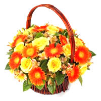 Send your love in the form of this Spectacular Everlasting Sunshine Bunch of Flo...