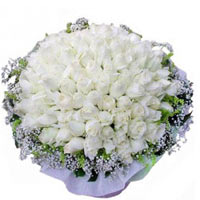 99 white roses, with baby breath and greens, beaut...