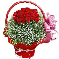 Heavenly Collection of 24 Red Roses with Baby's Breath