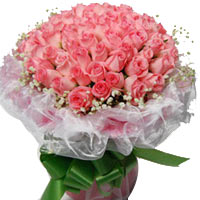 66 pink roses, matched with baby breath, white gau...