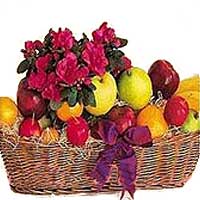 Because this basket is filled with fresh fruit and...
