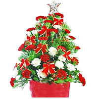 Red and white carnations, match greenery, arranged like a New Year tree. Decorat...