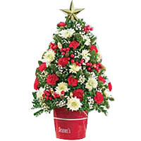 Golden New Year Star on the top of the tree, 24 red carnations, 24 pink or orang...