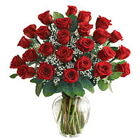 12 red roses, with babybreath and greens, vase arrangement...