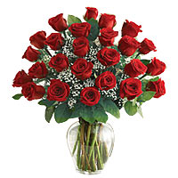 12 Red Roses