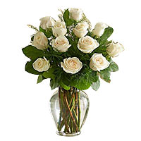 12 white roses, match green stuff, in a glass vase....