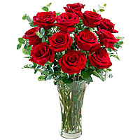 12 premium red roses with free glass vase, match greenery....