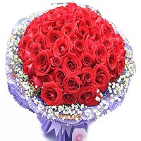 66 red roses matched with babybreath, purple package and purple bowknot....