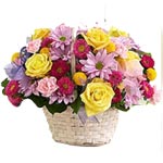 Be happy by sending this Enchanting Bouquet of Tog...