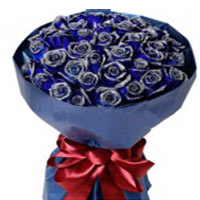 Blushing Blue Rose Bloom