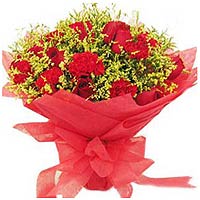 6 red roses, 12 red carnations, matched with green......  to Shangrao