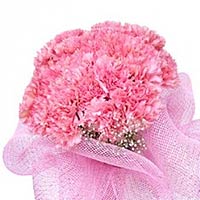 50 pink carnations and greens, pink gauze to wrap,......  to Lintong