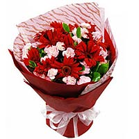 18 pink carnations, 10 red gerberas, red creper pa......  to Kashi