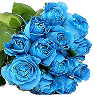 11 blue roses, matched with latifolium, blue packa......  to Fushun