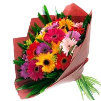 12 branches colorful gerberas. match green leaves,......  to Cangzhou