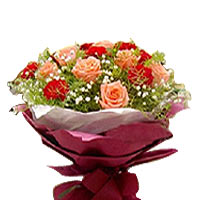 9 pink roses, 12 red carnations, baby's breath, gr......  to Changzhou
