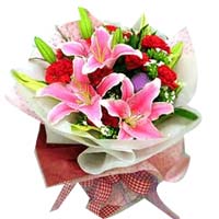 10 red carnations, 2 pink perfume lilies, match fl......  to Qinghai