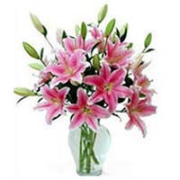 6 beautiful pink multi-bloomed lilies arranged in ......  to Loudi