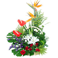 Mesmerize your dear ones with this Passionate Ever......  to Fengcheng