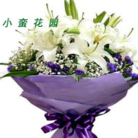 6 white lilies, match baby's breath, forget-me-not......  to Meizhou