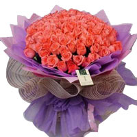 99 pink roses, purpel and pink package.Show your t......  to Jiamusi