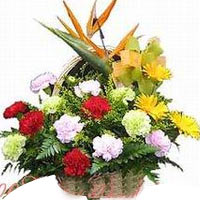 Celebrate in style with this Brilliant Best Wishes......  to Jinjian