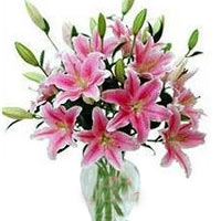 Add sweetness into your relationship by sending pe......  to Lianyungang