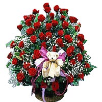 66 red roses, baby's breath, a litter bear, corbei......  to Shanghai