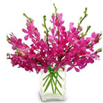 10 cattleyas, arrange in a glass vase, beautiful a......  to Enshi