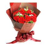11 red carnations,matched greens. brown package.......  to Shishi