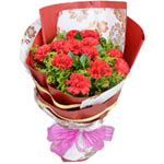  19 red carnations, with greens and babybreath and......  to Dandong