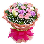 12 pink carnations, 2 purple carnations, and white......  to Jintan