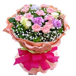 12 pink carnations, 2 purple carnations, and white......  to Yunfu