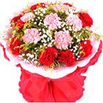 8 red carnations and 8 pink carnations with babybr......  to Qinhuangdao