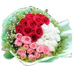 Add spark to your life as well as those who matter......  to Shandong