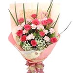 Let your loved ones blush in the colors this Cheer......  to Liaoyuan