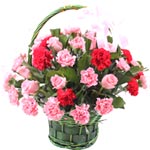 Order online for your loved ones this Outstanding ......  to Changchun