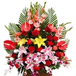 Acknowledge the people who love you by sending thi......  to Tongan