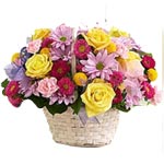 Be happy by sending this Enchanting Bouquet of Tog......  to Yaan