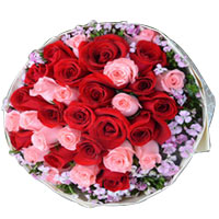 Just click and send this Stimulating Senses Rose B......  to Lanzhou