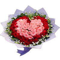 Offer your heartfelt wishes to your dear ones by s......  to Foshan