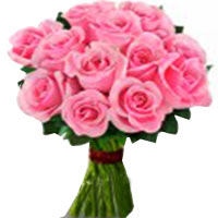 Captivating Bunch of 1 Dozen Pink Roses<br/><br/><br/>