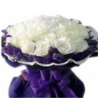 Be happy by sending this Bright White Rose Sympath......  to Fuzhou