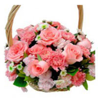 Congratulate your best friends and closer ones on ......  to Kunming