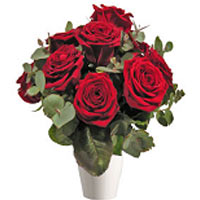 Bouquet of 9 red roses that will clearly show thei...