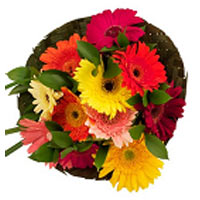  Elegant mini 9 gerberas nestled in a bouquet, filled with greenery. ...